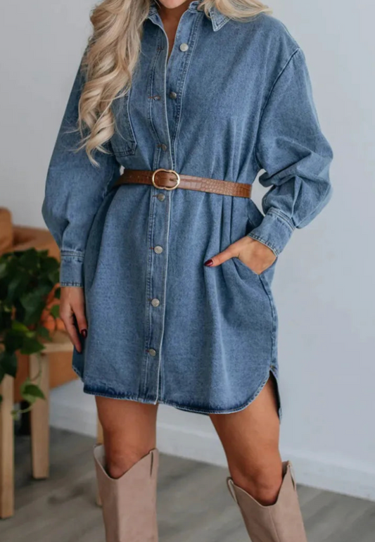 Button Down Denim Dress