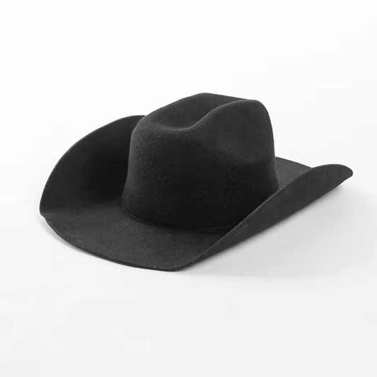 Daring Wool Wide Brim Hat