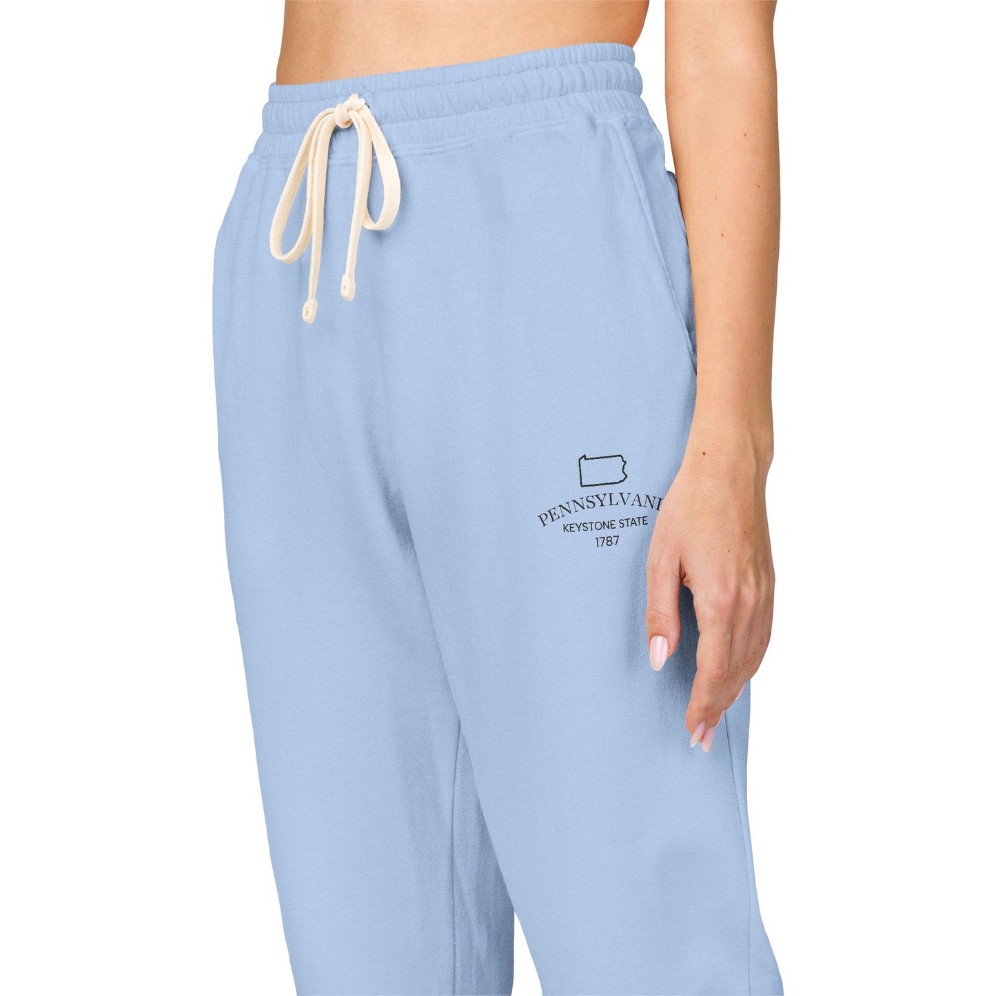Pennsylvania Vintage Fleece Sweatpants in multiple colors