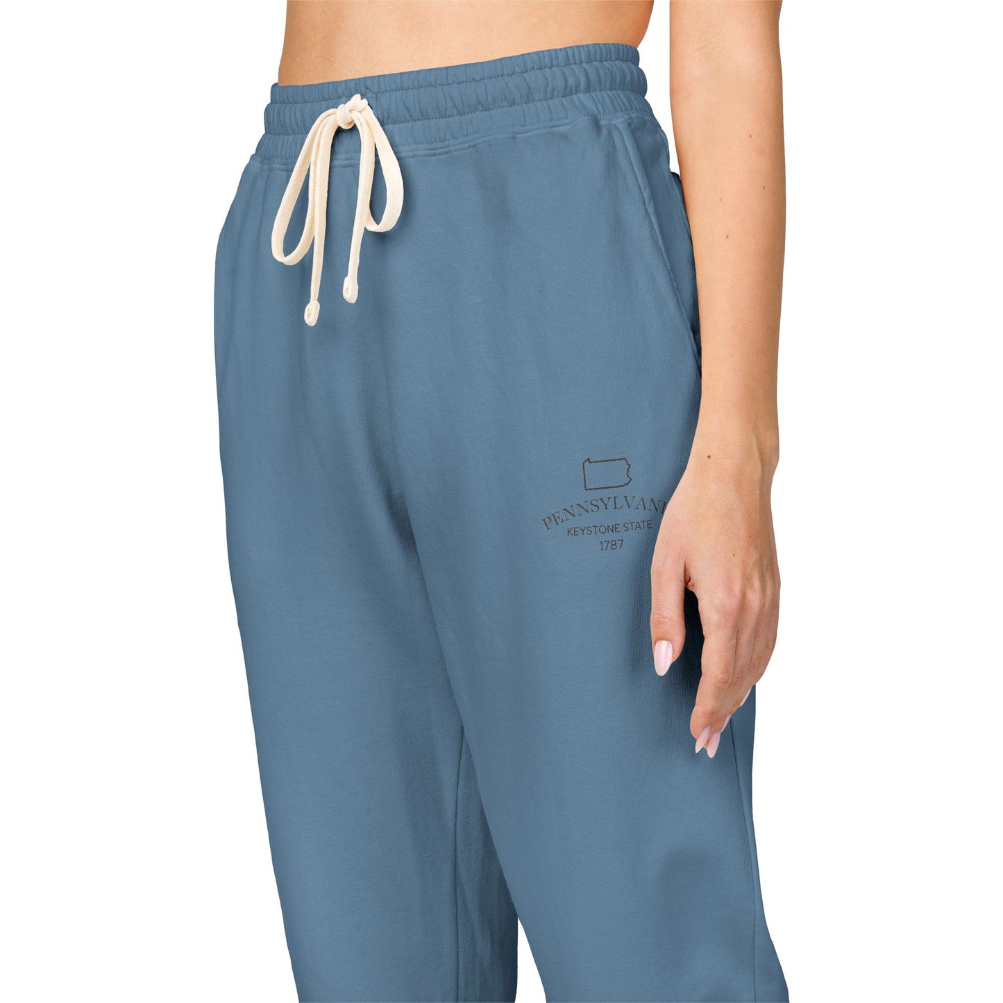 Pennsylvania Vintage Fleece Sweatpants in multiple colors