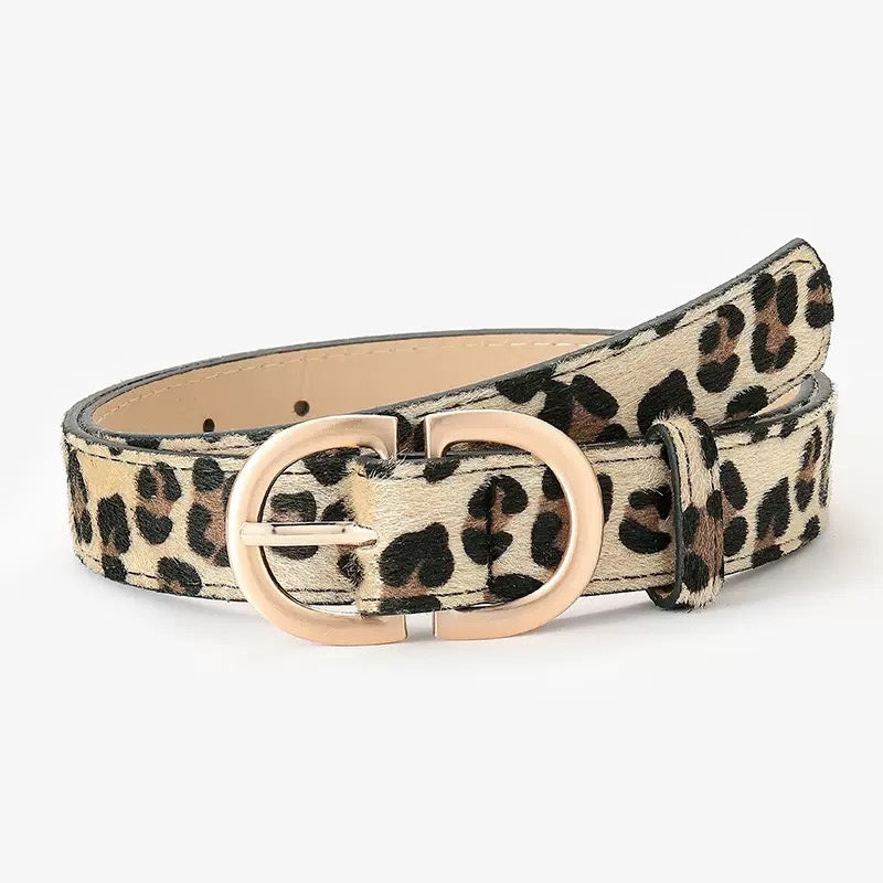Everyday D Ring Belt in multiple colors