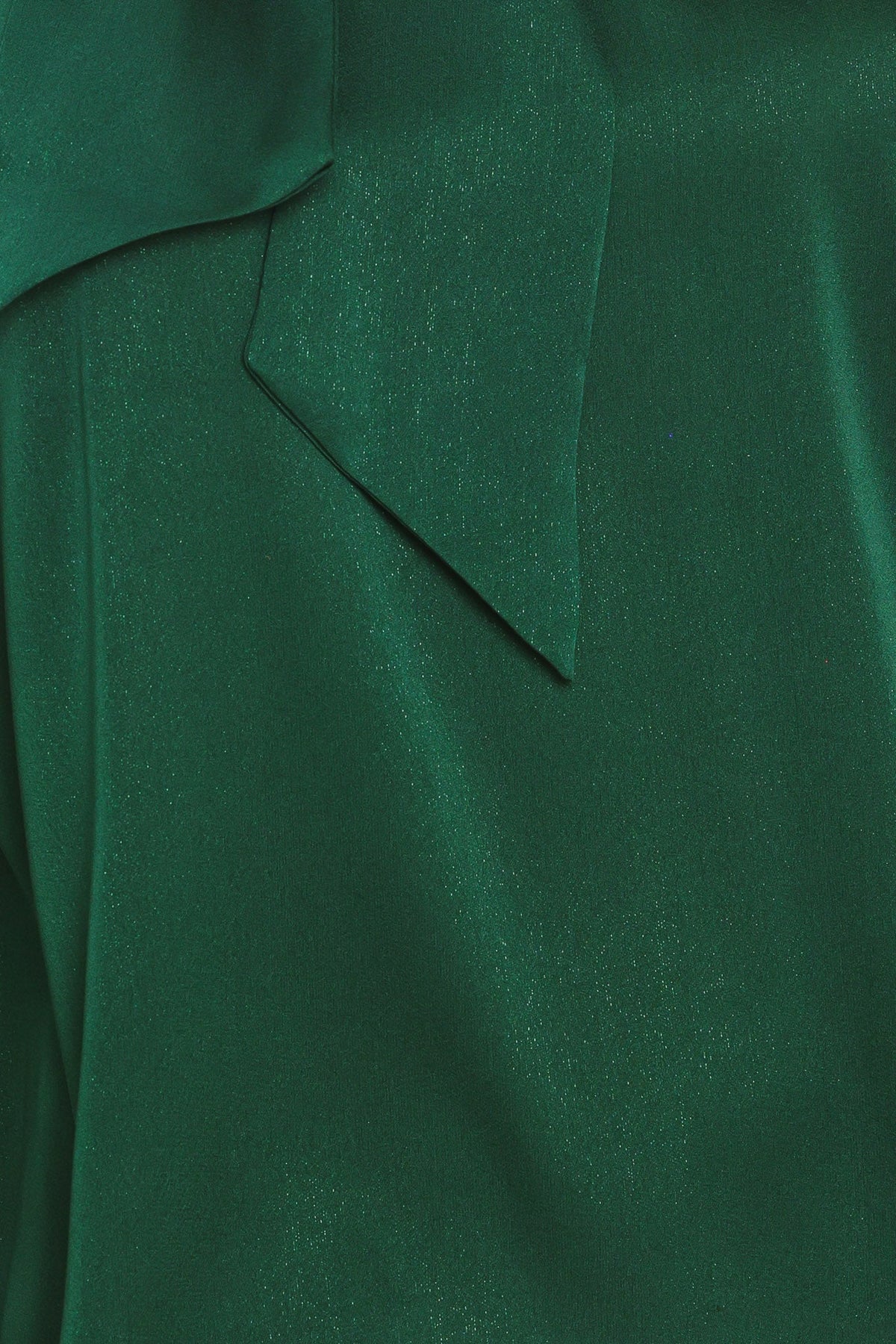 NEW - Evergreen Tie-Neck Blouse
