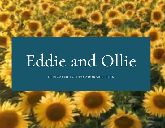 Eddie and Ollie Gift Card