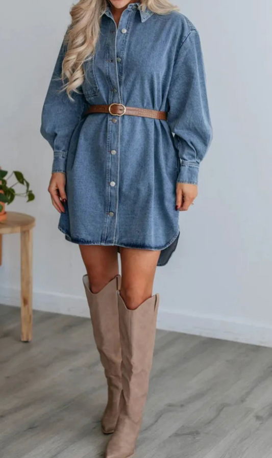 Button Down Denim Dress